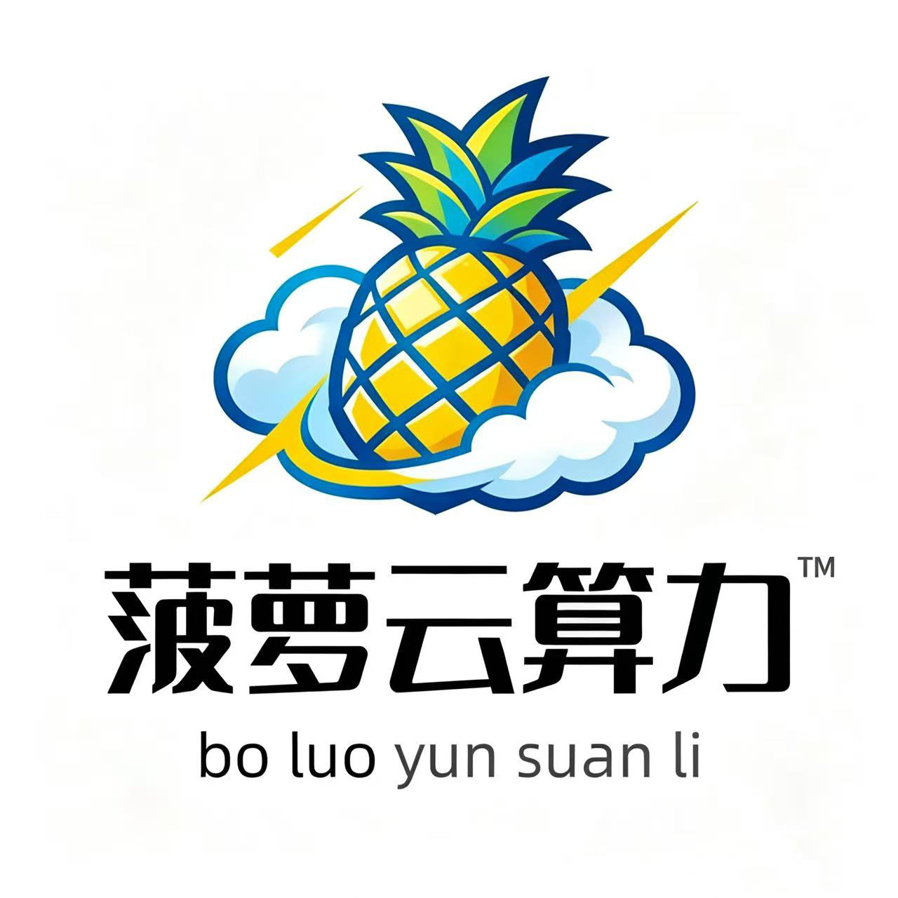 菠萝云算力